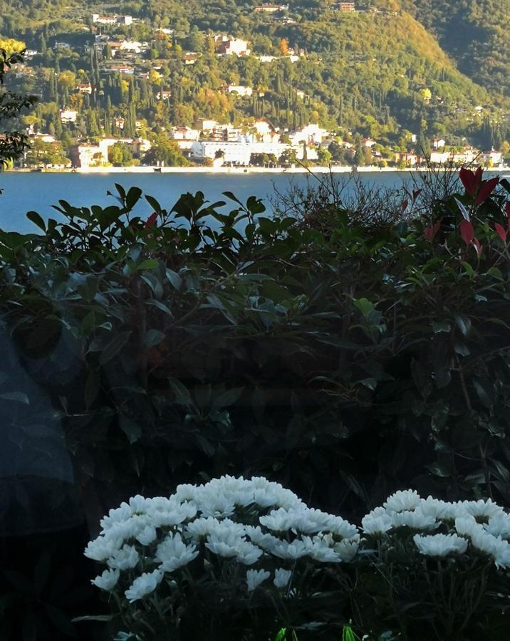 B&B Le Farfalle San Felice del Benaco Zewnętrze zdjęcie